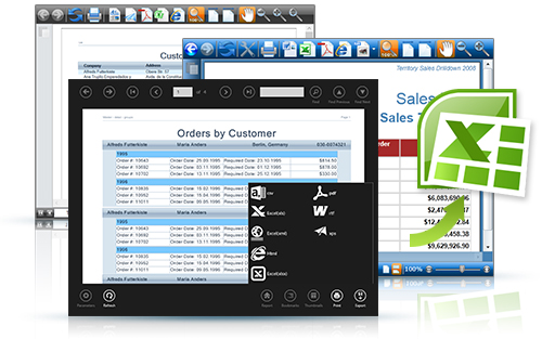 silverlight, wpf and winrt report viewers